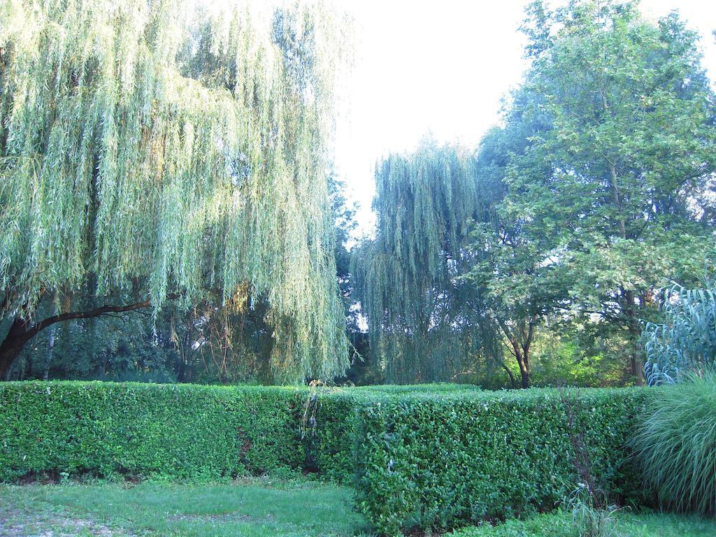Balf Panzio Bed & Breakfast Sopron Dış mekan fotoğraf